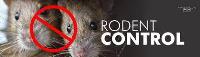 Arrow Exterminating Rodent Control Perth image 3